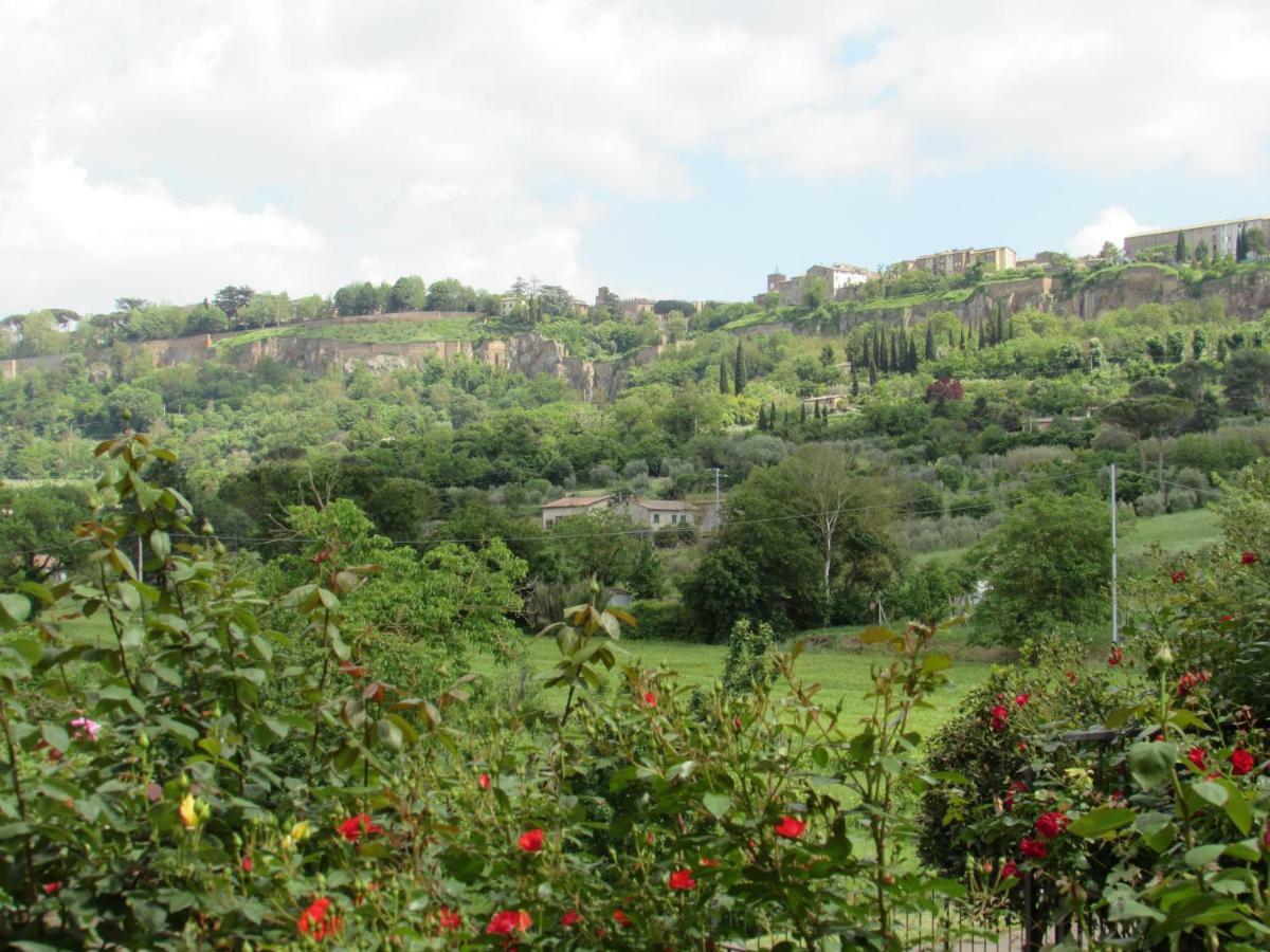 Casa Angolo Delle Rose Orvieto Exterior photo